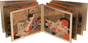 Giappone, XVIII-XIX secolo. Dodici tele di seta finemente dipinte rappresentanti scene erotiche (shunga).