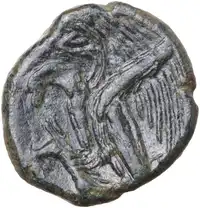 Reverse image