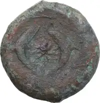 Reverse image