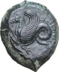Reverse image
