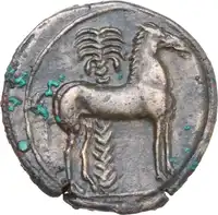 Reverse image