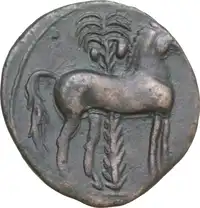 Reverse image
