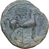 Reverse image