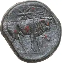 Reverse image