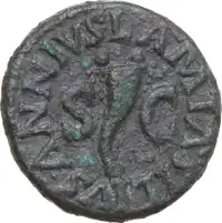 Reverse image