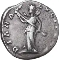 lot 486