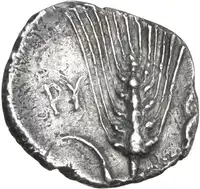 img-1