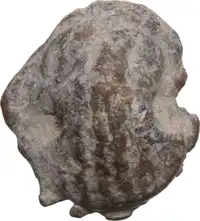 img-1