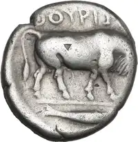 Reverse image