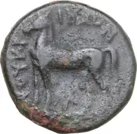 Reverse image