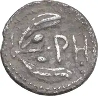 Reverse image