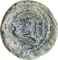 Reverse image