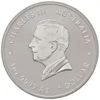 Obverse image