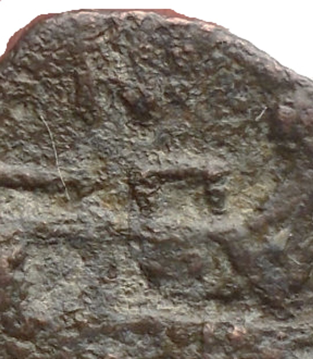 Immagine aggiuntiva 1