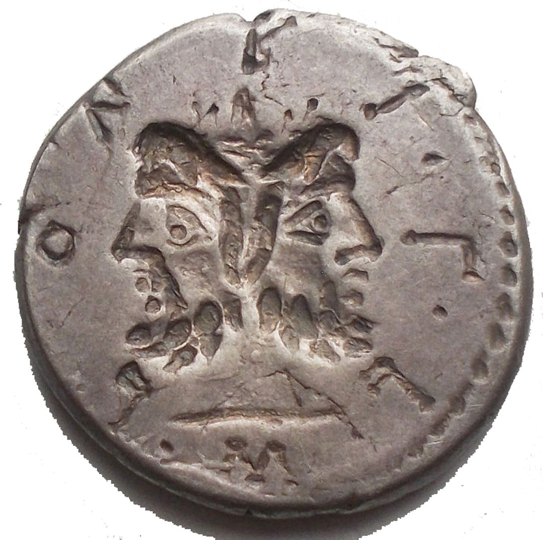 Immagine aggiuntiva 2