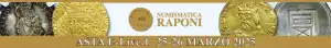 Banner Raponi E-Live 1