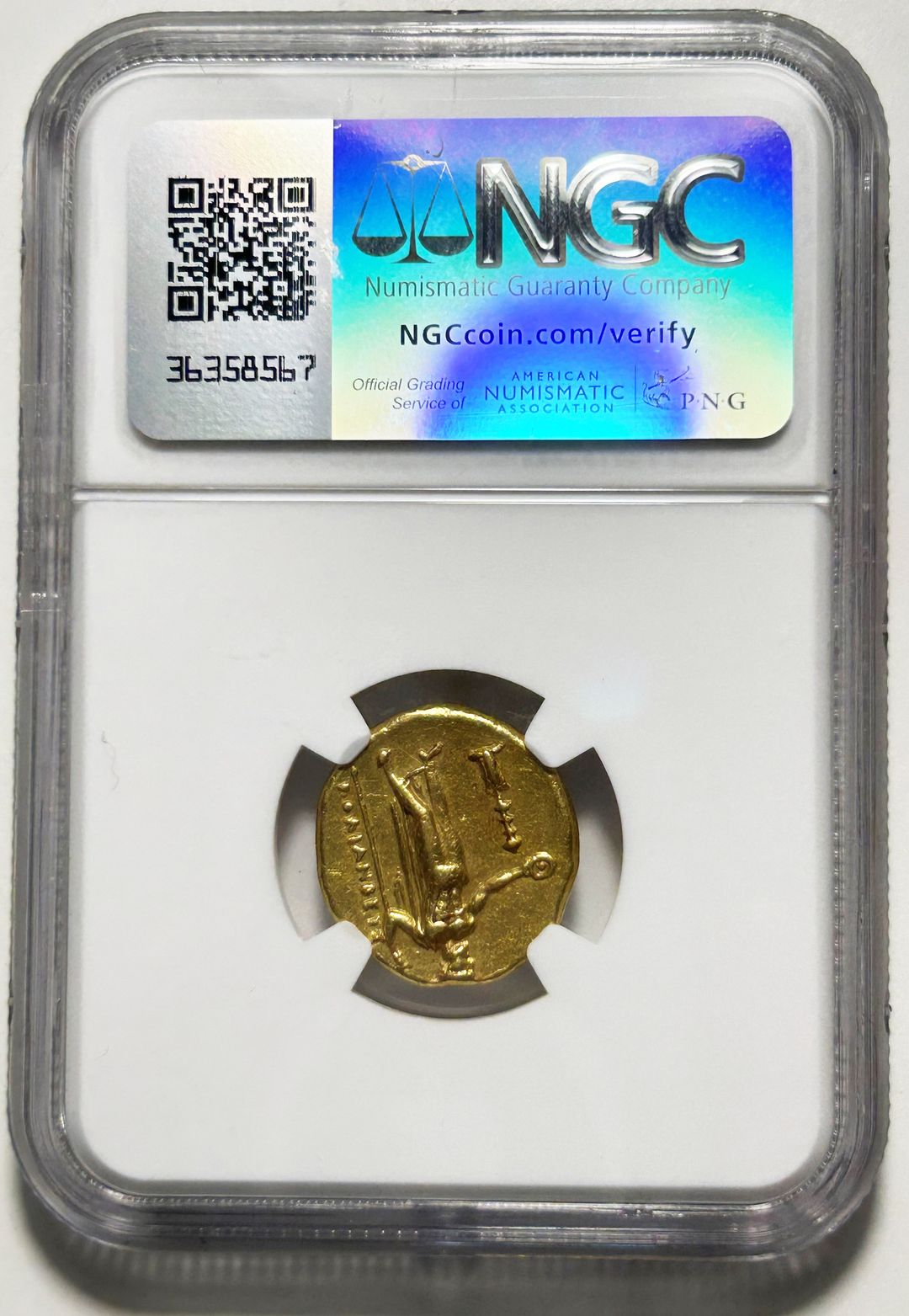 Immagine aggiuntiva 2