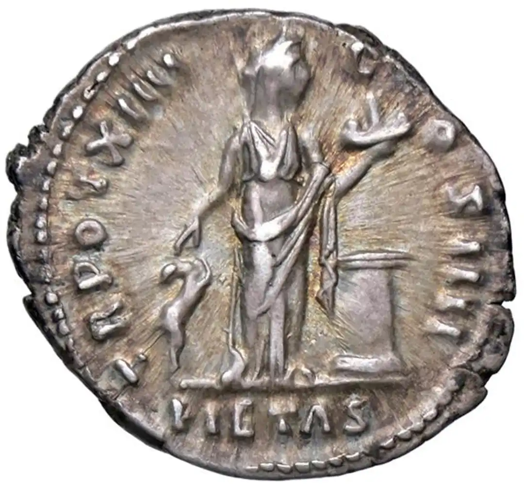 Rovescio moneta