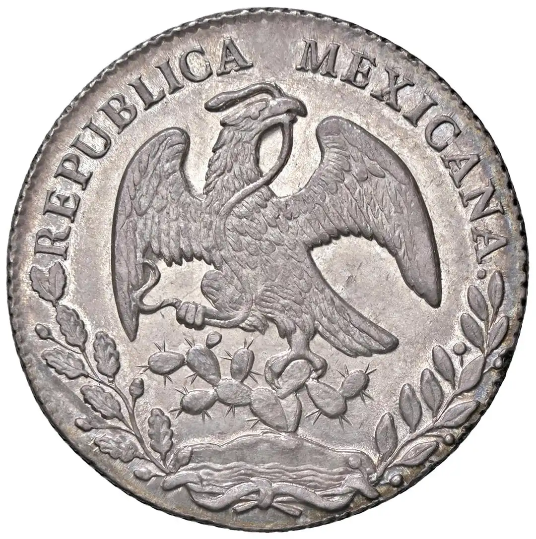 Dritto moneta