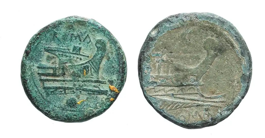 Rovescio moneta