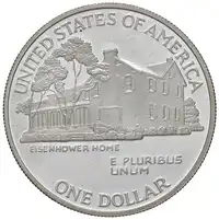 Reverse image