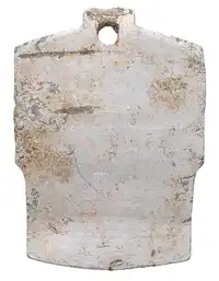 Reverse image