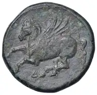 Reverse image
