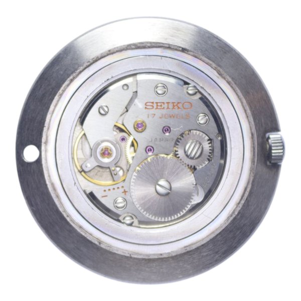 Immagine aggiuntiva 1