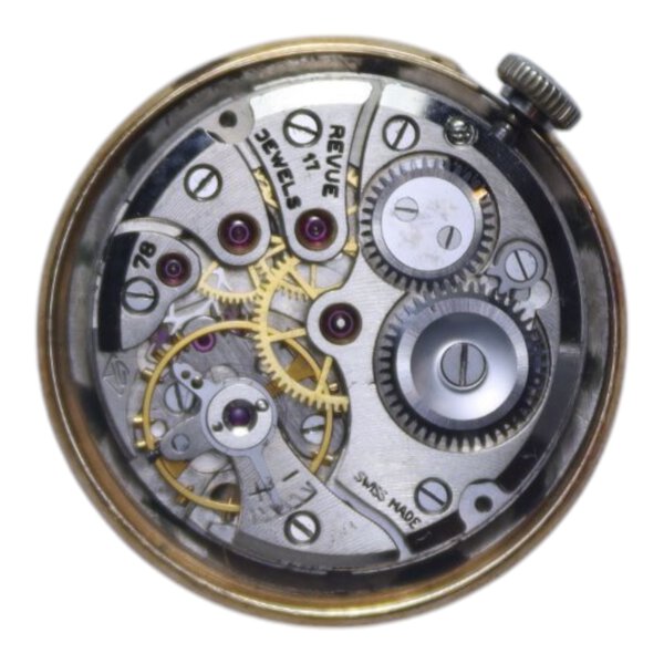 Immagine aggiuntiva 1