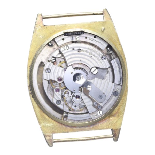 Immagine aggiuntiva 1