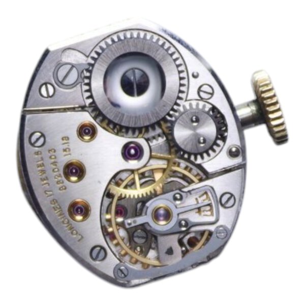 Immagine aggiuntiva 1