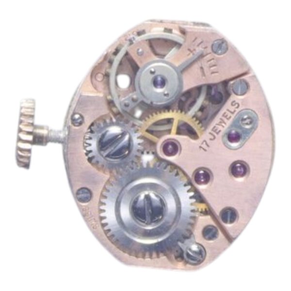 Immagine aggiuntiva 1