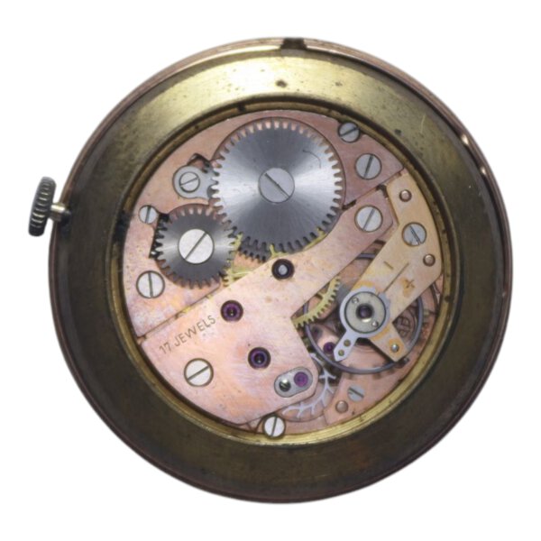 Immagine aggiuntiva 1