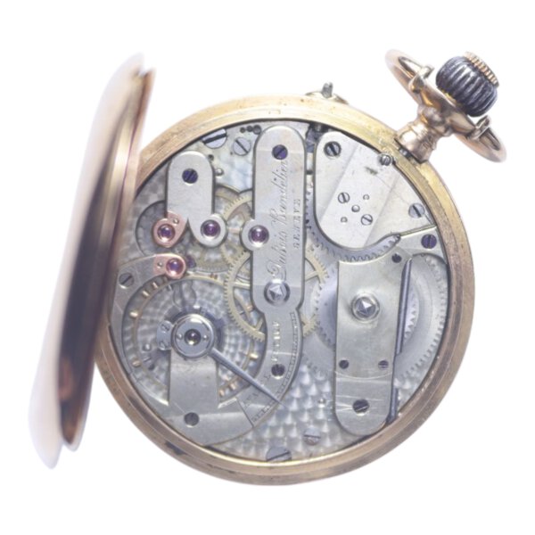 Immagine aggiuntiva 1