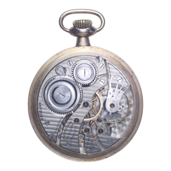 Immagine aggiuntiva 1