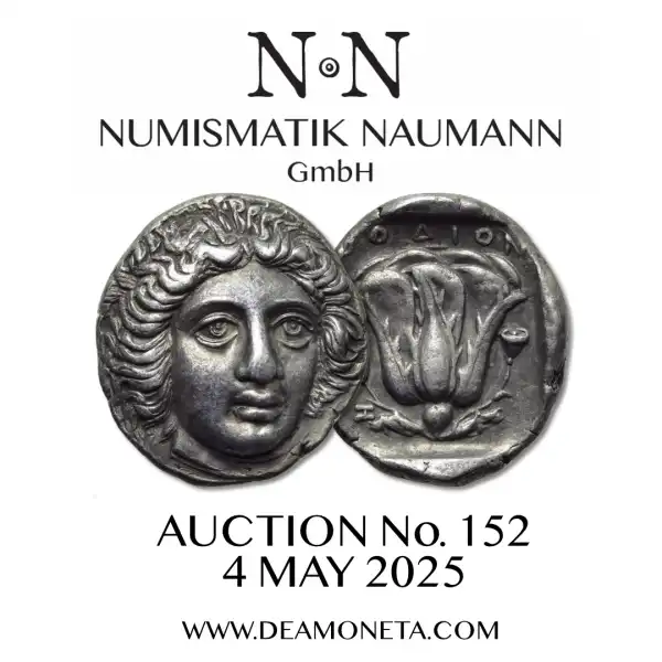 Naumann 152