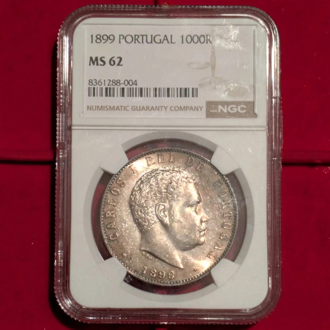 Immagine aggiuntiva 1