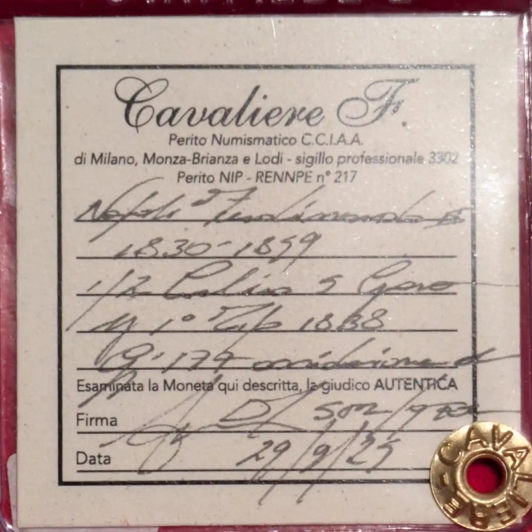 Immagine aggiuntiva 1