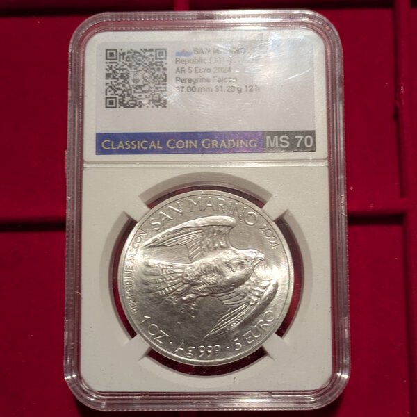 Immagine aggiuntiva 1