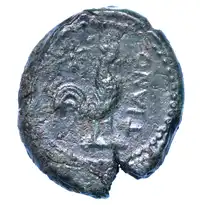 Reverse image
