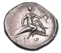 Reverse image
