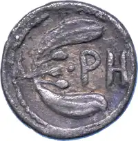 Reverse image