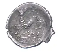 Reverse image