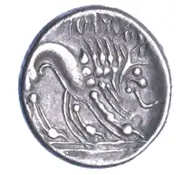 Reverse image