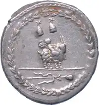 Reverse image