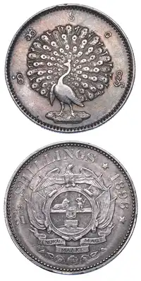 Reverse image