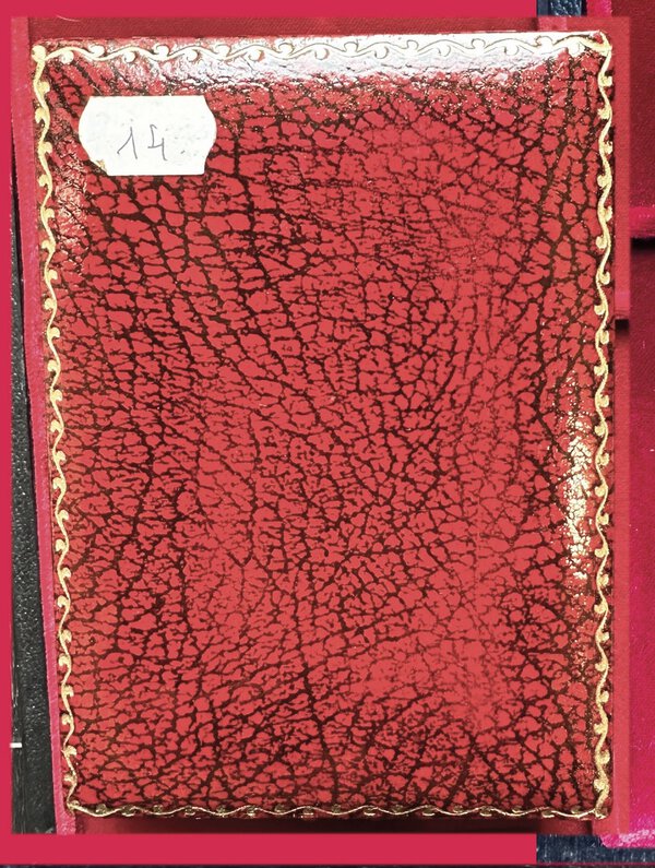 Immagine aggiuntiva 1