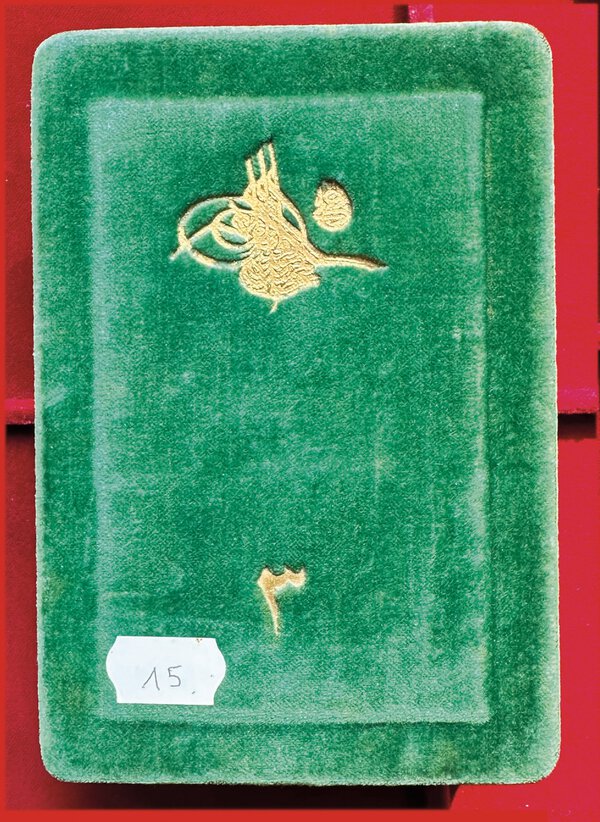 Immagine aggiuntiva 1