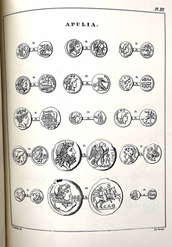 Immagine aggiuntiva 2