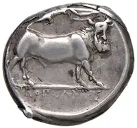 Reverse image